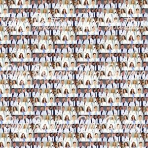 Grey's Anatomy 2 Fabric