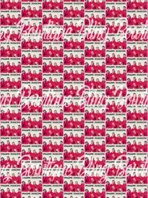 Buffalo Bills Fabric – Xtreme Bling Bowtique